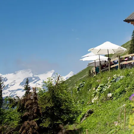Hotel Taellihuette *